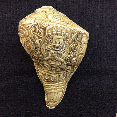 Genuine Mahakala Tibetan Buddhist Conch Horn Hand carved from Nepal